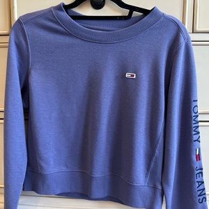 Item: Purple Tommy Hilfiger long sleeve top, Brand: Tommy Hilfiger, Size: Small